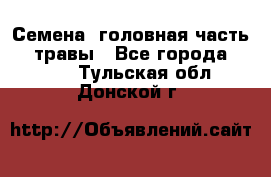 Семена (головная часть))) травы - Все города  »    . Тульская обл.,Донской г.